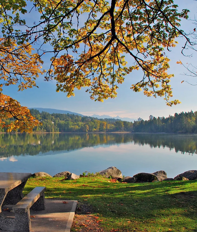 Pet-Friendly Rentals: Why Port Moody Is The Place to Be