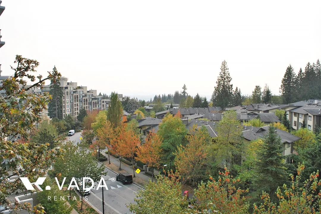 Novo in SFU - 2 Bedroom Sub Penthouse For Rent in Burnaby at 805 - 9262 University Crescent, Burnaby, BC