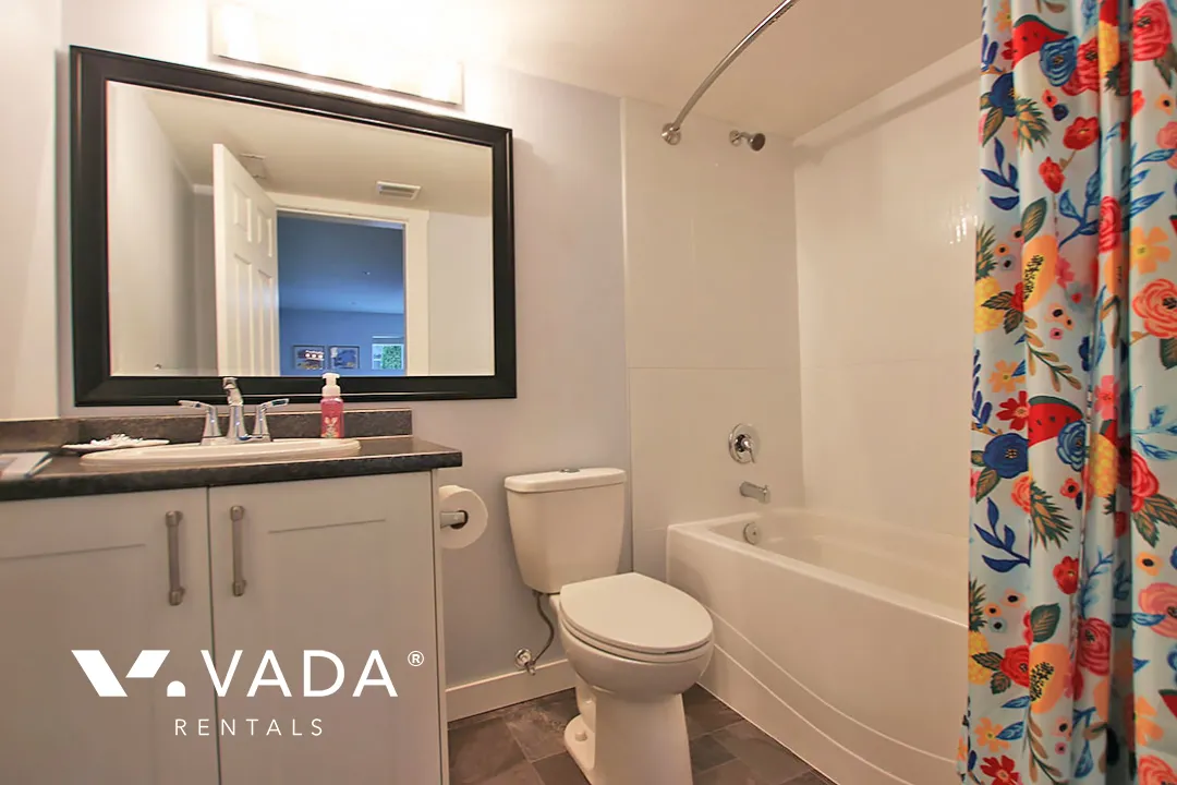 Albion - 1 Bedroom Basement For Rent in Maple Ridge at 10045B 247 Street, Maple Ridge, BC