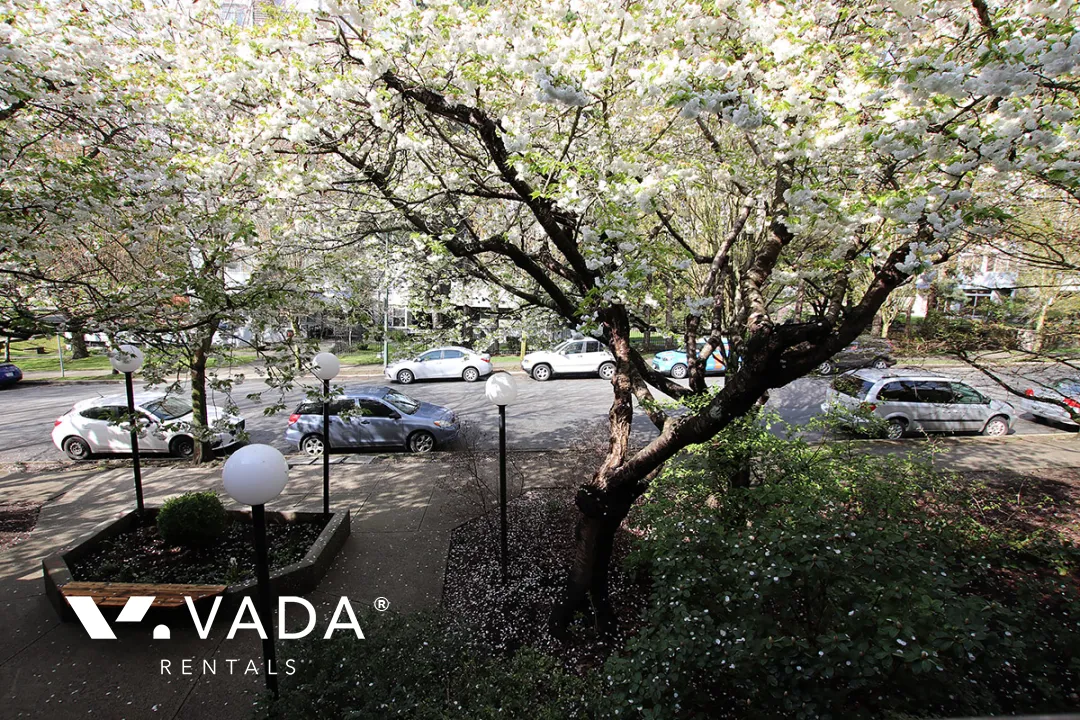 La Contessa in Grandview Woodland - 1 Bedroom Apartment For Rent in Vancouver at 209 - 1422 East 3rd Avenue, Vancouver, BC
