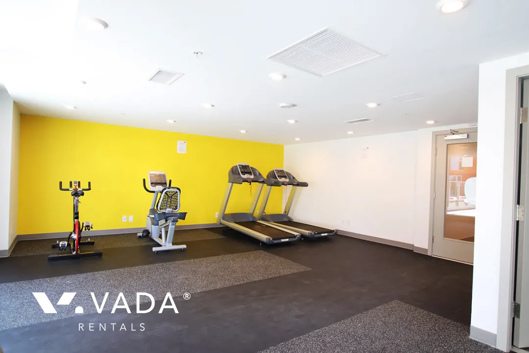 The Heatley @ Strathcona Village in Strathcona - 1 Bedroom Apartment For Rent in Vancouver at 359 - 955 East Hastings Street, Vancouver, BC