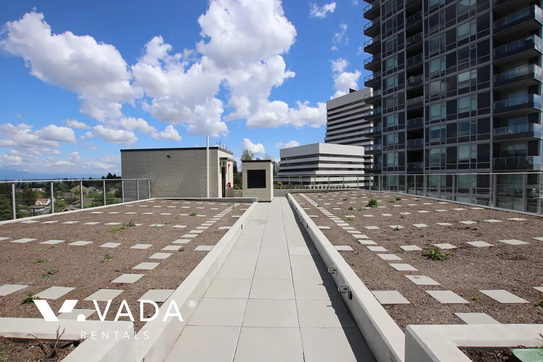 Wall Centre Central Park Tower 3 in Renfrew Collingwood - 1 Bedroom Apartment For Rent in Vancouver at 1008 - 5470 Ormidale Street, Vancouver, BC