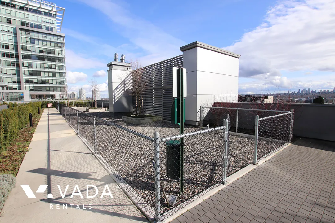 Stratus Solo District in Brentwood - Studio For Rent in Burnaby at 2608 - 2008 Rosser Avenue, Burnaby, BC