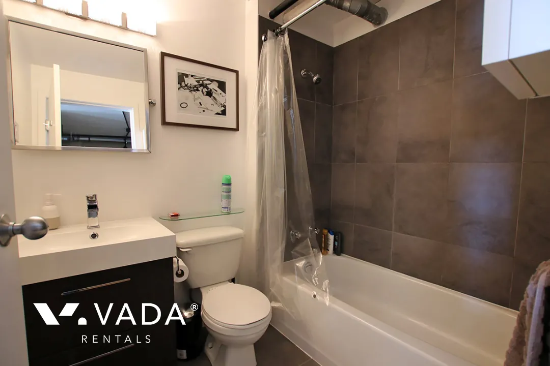 Watershed in Mount Pleasant East - Furnished 1 Bedroom Loft For Rent in Vancouver at 310 - 228 East 4th Avenue, Vancouver, BC