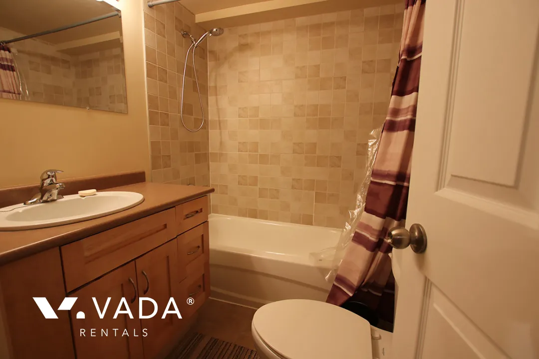 Central Coquitlam - 1 Bedroom Basement For Rent in Coquitlam at 3166 Pier Drive, Coquitlam, BC