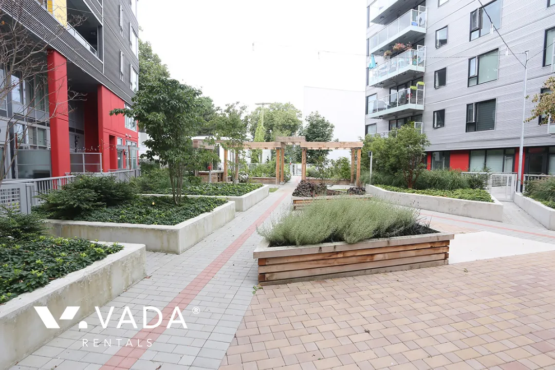 Canvas in Southeast False Creek - 1 Bedroom Apartment For Rent in Vancouver at 106 - 417 Great Northern Way, Vancouver, BC