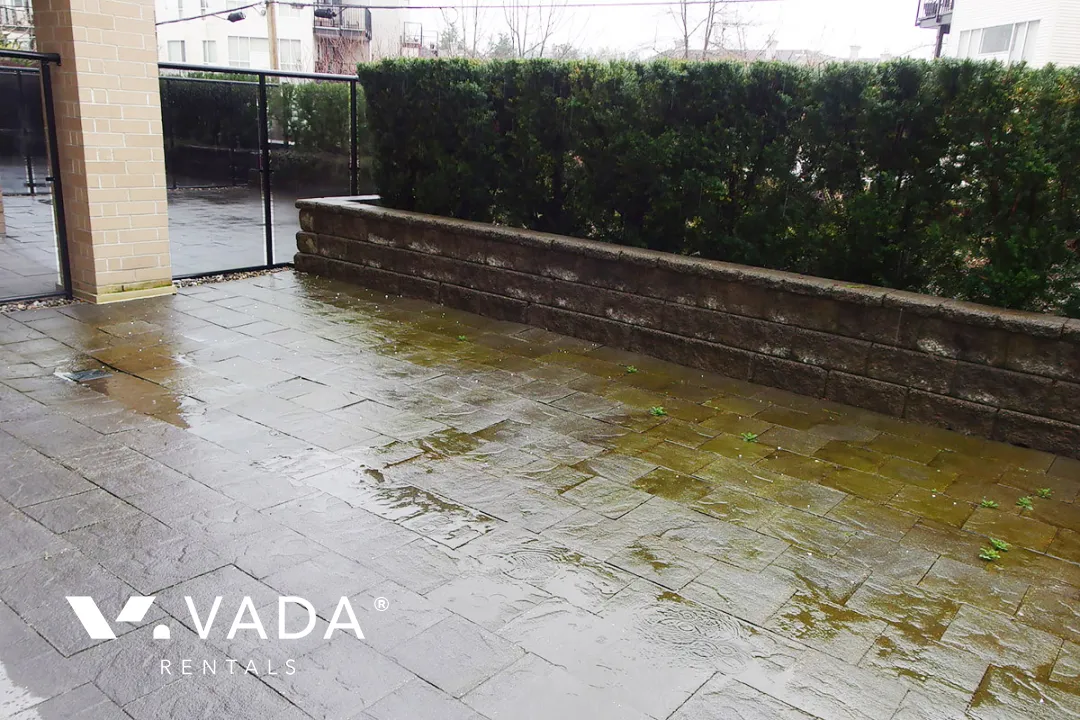 Harmony in Central POCO - 2 Bedroom Apartment For Rent in Port Coquitlam at 109 - 2478 Welcher Avenue, Port Coquitlam, BC