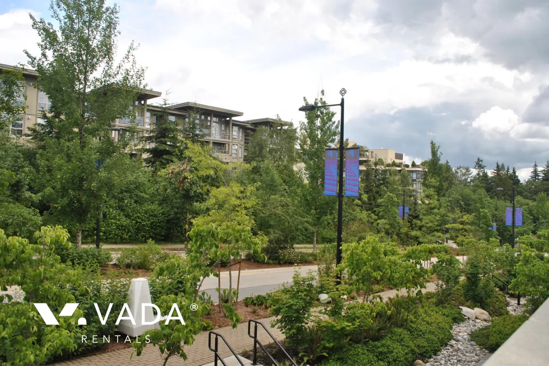 Lift in SFU - 1 Bedroom Apartment For Rent in Burnaby at 314 - 9350 University High Street, Burnaby, BC