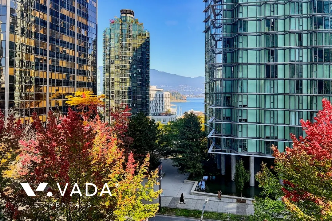 Lions in Downtown - 1 Bedroom Apartment For Rent in Vancouver at 405 - 1331 Alberni Street, Vancouver, BC, V6E 4S1