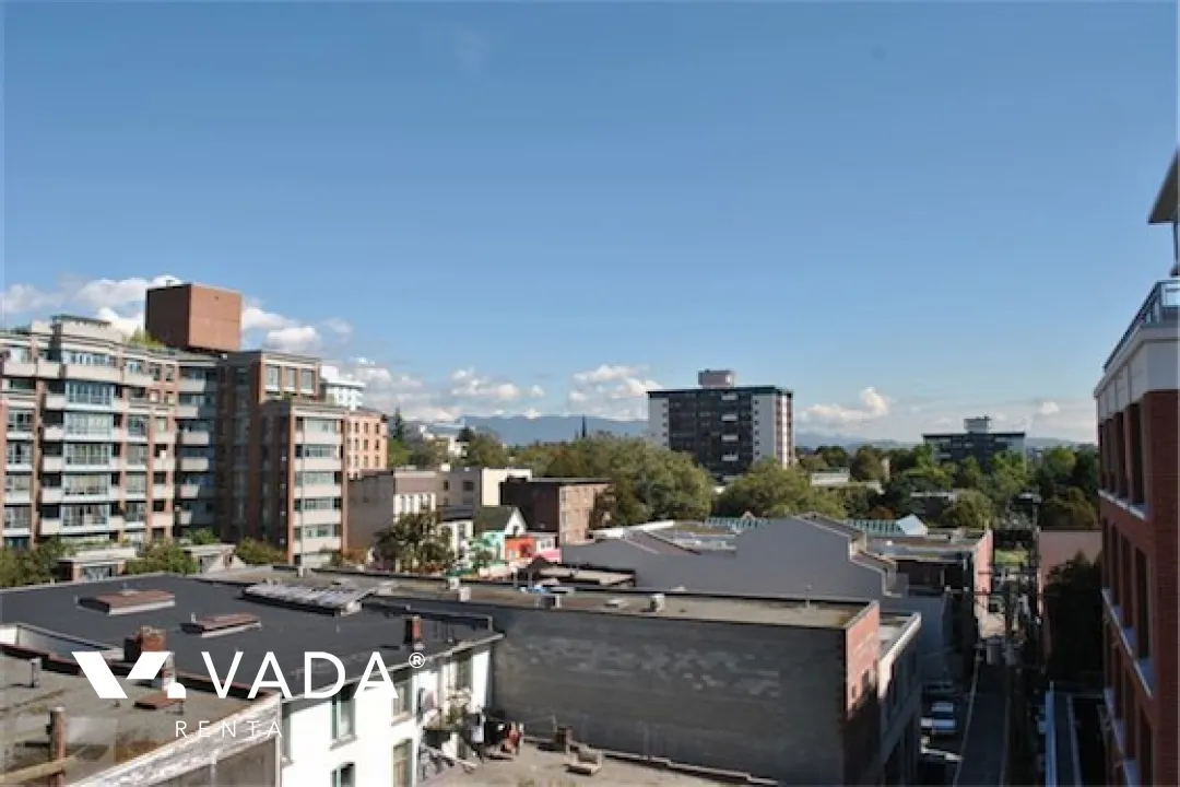 Ginger in Chinatown - 1 Bedroom Apartment For Rent in Vancouver at 711 - 718 Main Street, Vancouver, BC