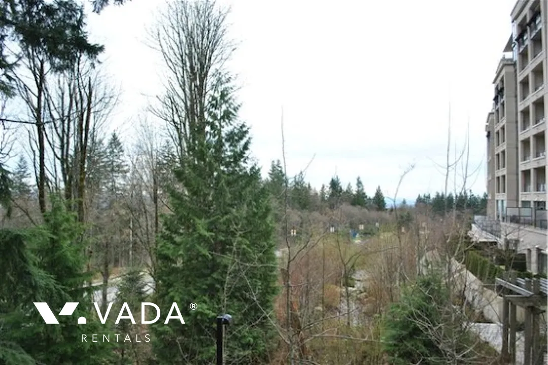 Novo in SFU - 1 Bedroom Apartment For Rent in Burnaby at 6 - 9298 University Crescent, Burnaby, BC