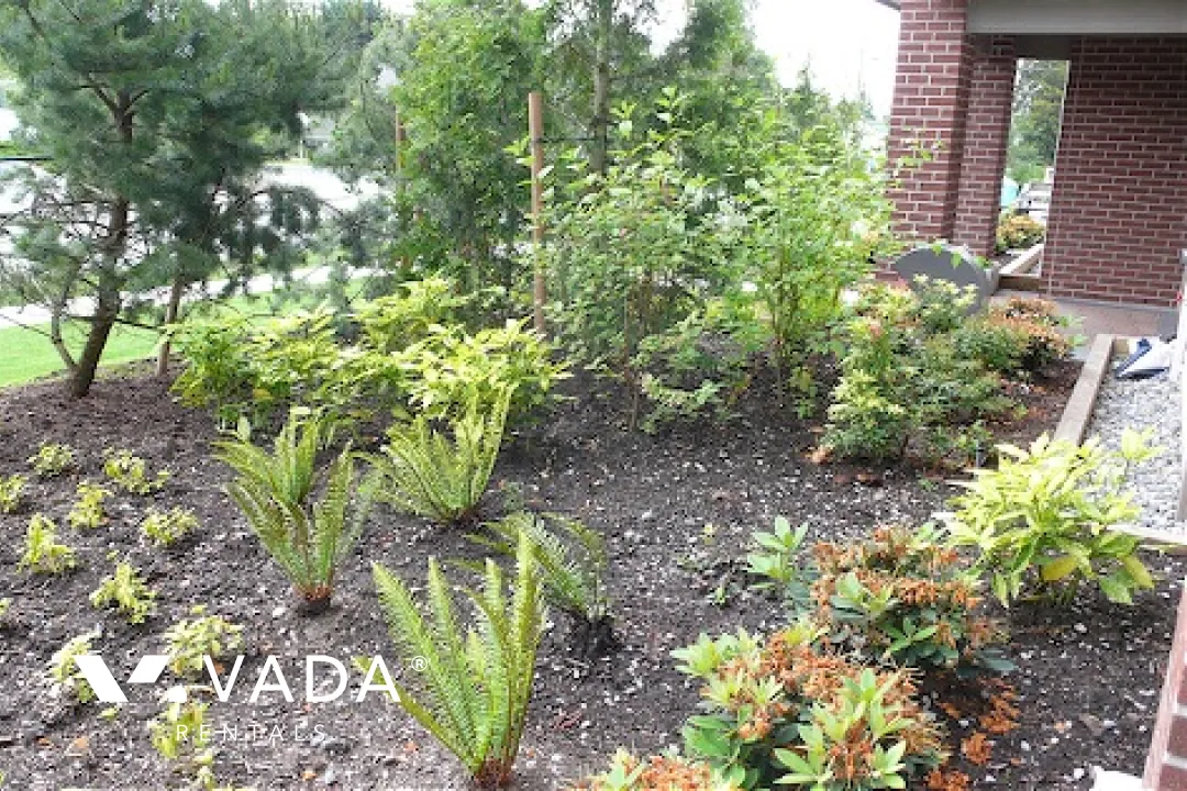 Macpherson Walk in Metrotown - 1 Bedroom Apartment For Rent in Burnaby at 111 - 5889 Irmin Street, Burnaby, BC