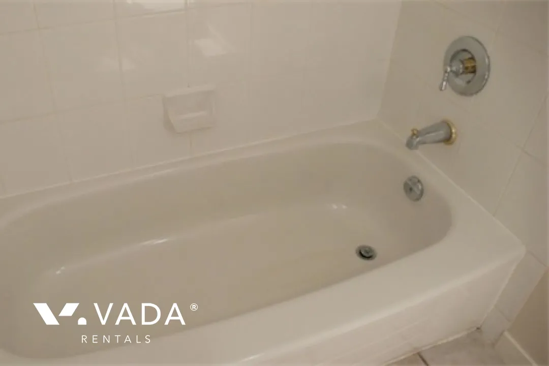 Lions in Downtown - Studio For Rent in Vancouver at 302 - 1367 Alberni Street, Vancouver, BC