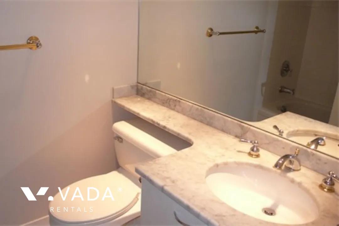 Lions in Downtown - Studio For Rent in Vancouver at 302 - 1367 Alberni Street, Vancouver, BC