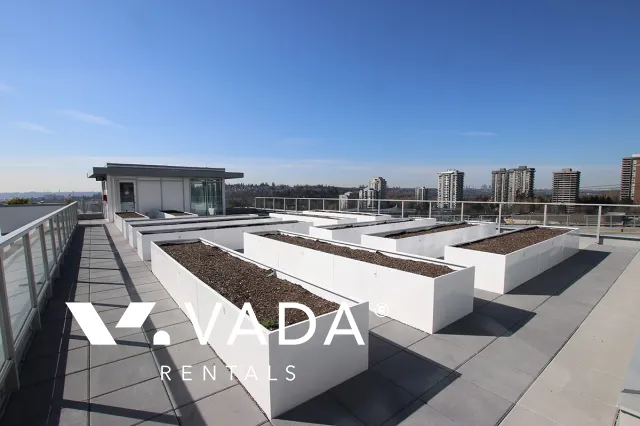 Building - Brookmere in Coquitlam, BC at 530 Whiting Way