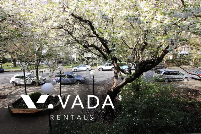 La Contessa in Grandview Woodland - 1 Bedroom Apartment For Rent in Vancouver at 209 - 1422 East 3rd Avenue, Vancouver, BC