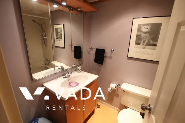 Regency Terrace in The West End - Furnished 1 Bedroom Apartment For Rent in Vancouver at 202 - 1718 Nelson Street, Vancouver, BC
