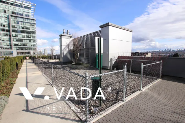 Stratus Solo District in Brentwood - Studio For Rent in Burnaby at 2608 - 2008 Rosser Avenue, Burnaby, BC