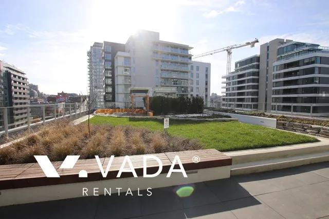 Voda at The Creek in Southeast False Creek - 1 Bedroom Apartment For Rent in Vancouver at 306 - 1661 Quebec Street, Vancouver, BC