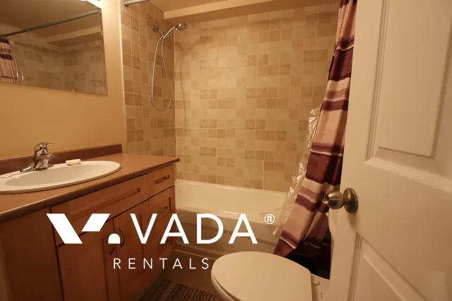 Central Coquitlam - 1 Bedroom Basement For Rent in Coquitlam at 3166 Pier Drive, Coquitlam, BC