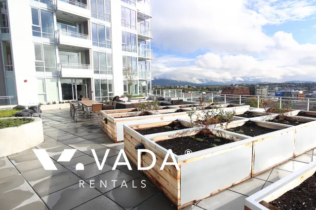 Central in Southeast False Creek - 1 Bedroom Apartment For Rent in Vancouver at 306 - 1618 Quebec Street, Vancouver, BC
