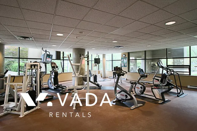 The Lions in Downtown - Furnished Studio For Rent in Vancouver at 305 - 1367 Alberni Street, Vancouver, BC