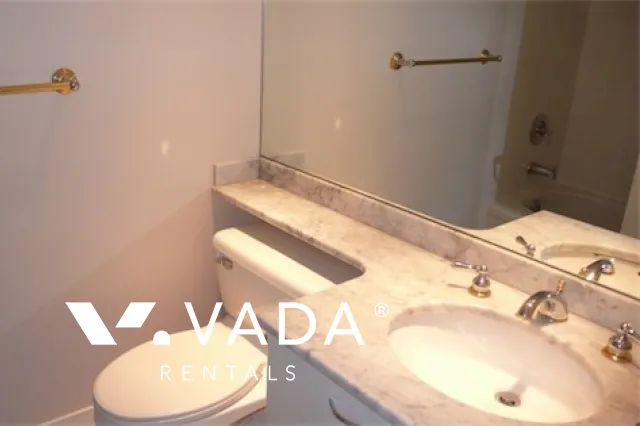 Lions in Downtown - Studio For Rent in Vancouver at 302 - 1367 Alberni Street, Vancouver, BC