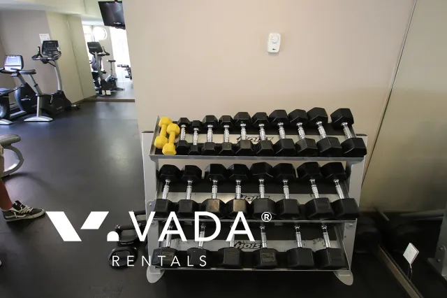 Social in Mount Pleasant East - 1 Bedroom Apartment For Rent in Vancouver at 312 - 2321 Scotia Street, Vancouver, BC, V5T 0A8