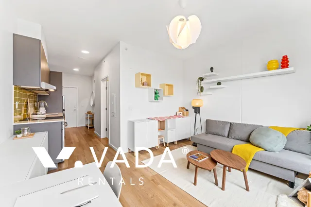 Chroma in South Flats - Modern Pet Friendly Studio Rentals at 1888 Scotia Street, Vancouver, BC, V5T 0L3