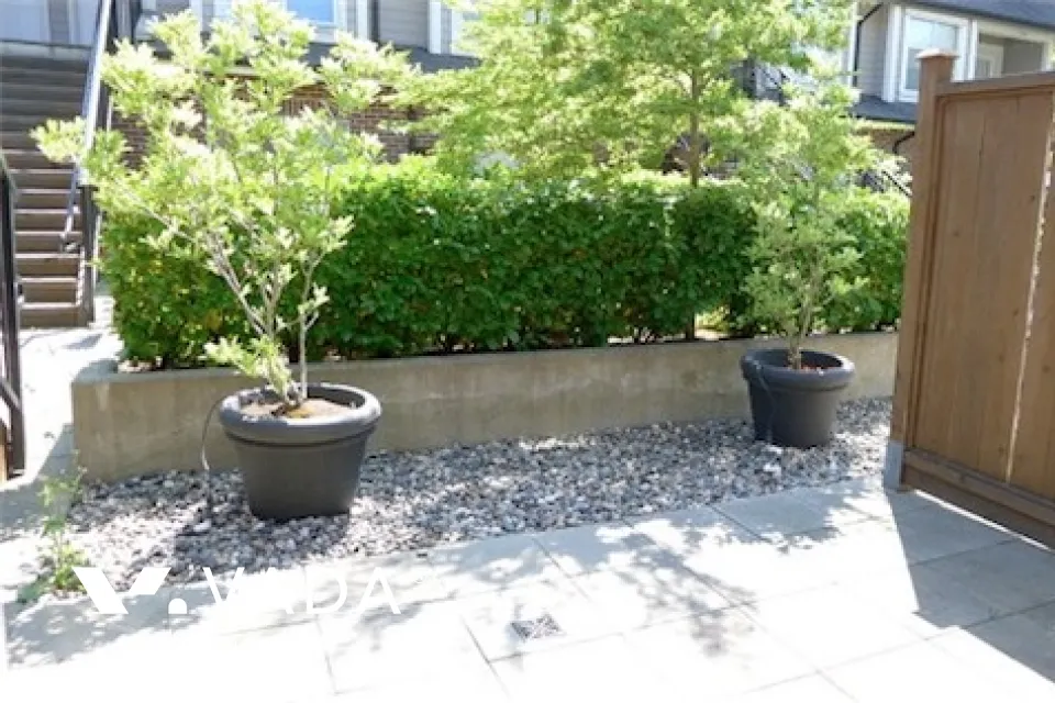 Liberta in UBC - 1 Bedroom Apartment For Rent in Vancouver at 116 - 2780 Acadia Road, Vancouver, BC