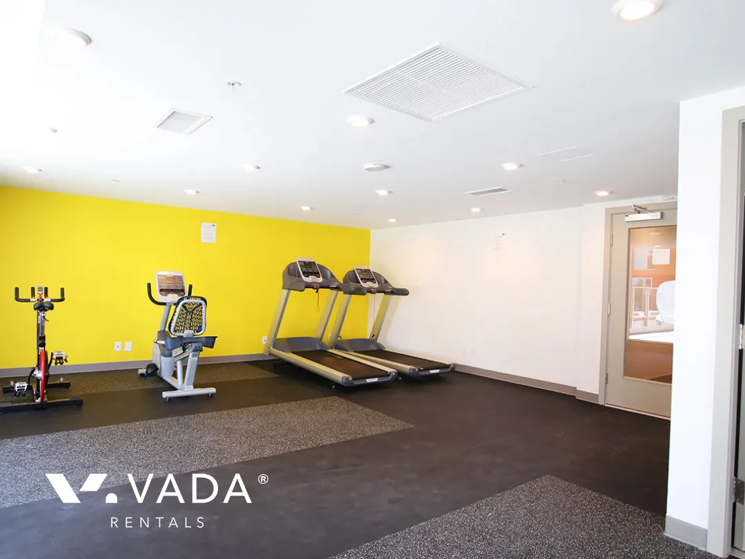 The Raymur @ Strathcona Village in Strathcona - 2 Bedroom Penthouse For Rent in Vancouver at PH2 - 983 East Hastings Street, Vancouver, BC