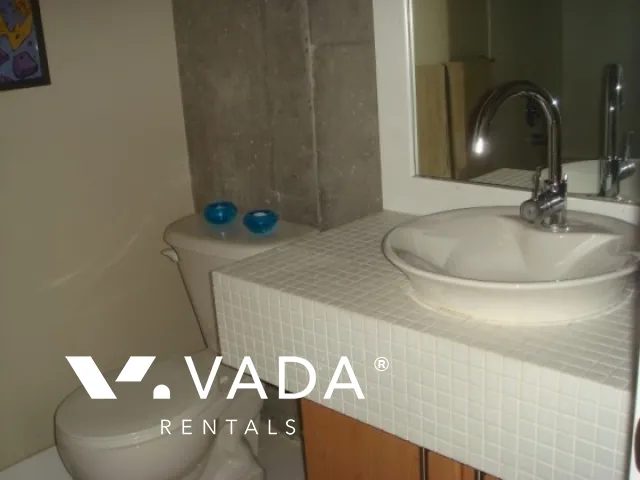 Soma Lofts in Mount Pleasant East - 2 Bedroom Loft For Rent in Vancouver at 604 - 2635 Prince Edward Street, Vancouver, BC