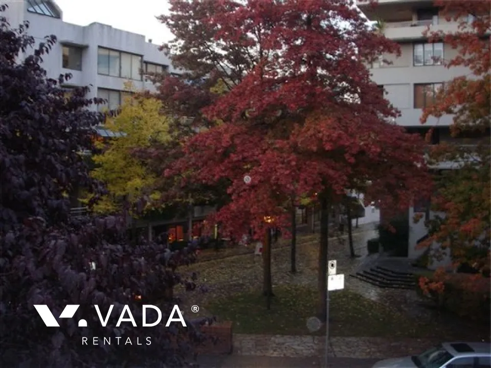 Edgewater in Olympic Village - 1 Bedroom Apartment For Rent in Vancouver at 207 - 650 Moberly Road, Vancouver, BC