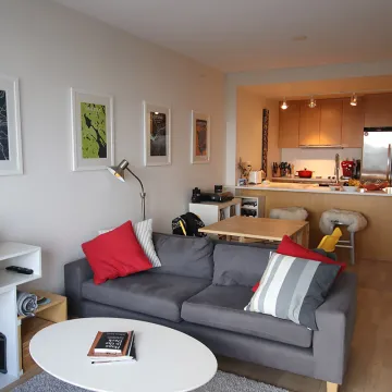 District in Mount Pleasant East - 1 Bed & Den Apartment Rental in East Vancouver - 1 MONTH FREE RENT 913 - 251 East 7th Avenue, Vancouver, BC, V5T 0B9