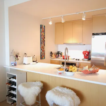 District in Mount Pleasant East - 1 Bed & Den Apartment Rental in East Vancouver - 1 MONTH FREE RENT 913 - 251 East 7th Avenue, Vancouver, BC, V5T 0B9