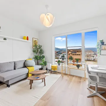 Chroma in South Flats - Modern Pet Friendly Studio Rentals 1888 Scotia Street, Vancouver, BC, V5T 0L3