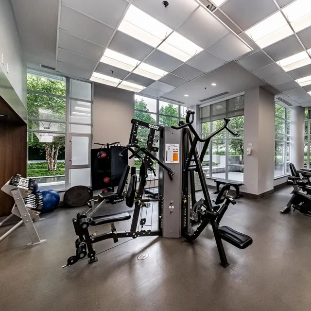 Building - Viceroy in New Westminster, BC at 608 Belmont Street