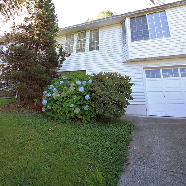 Central Coquitlam - 1 Bedroom Basement For Rent in Coquitlam 3166 Pier Drive, Coquitlam, BC