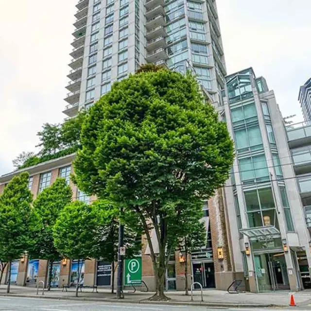 Vita in Yaletown - 1 Bedroom Apartment For Rent in Vancouver 603 - 565 Smithe Street, Vancouver, BC