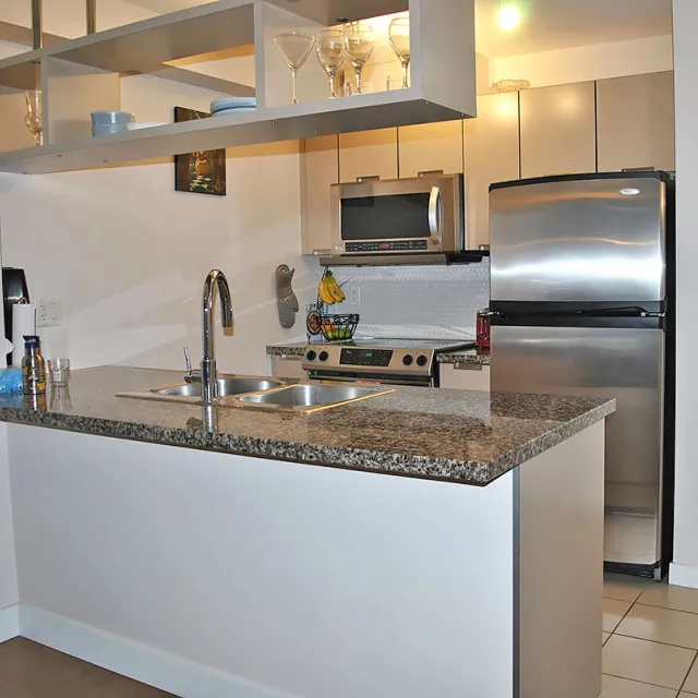 Freesia in Downtown - 2 Bedroom Apartment For Rent in Vancouver 508 - 1082 Seymour Street, Vancouver, BC