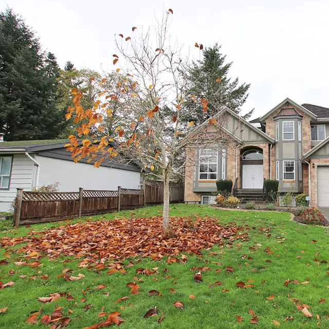 Whalley - 5 Bedroom House (Upper Level) For Rent in Surrey 10304 A 128th Street, Surrey, BC