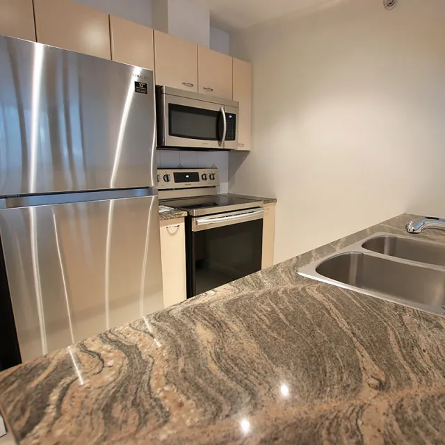 The Lions in Downtown - 1 Bedroom Apartment For Rent in Vancouver 401 - 1331 Alberni Street, Vancouver, BC