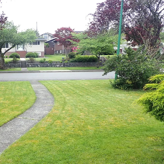 Brentwood - 5 Bedroom House For Rent in Burnaby 4823 Westlawn Drive, Burnaby, BC