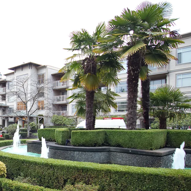 Laguna in Brighouse - 1 Bedroom Apartment For Rent in Richmond 315 - 8220 Jones Road, Richmond, BC