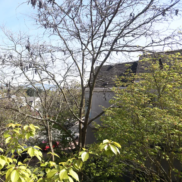 Laurel Court in Fairview - 2 Bedroom Townhouse For Rent in Vancouver 870 West 7th Avenue, Vancouver, BC