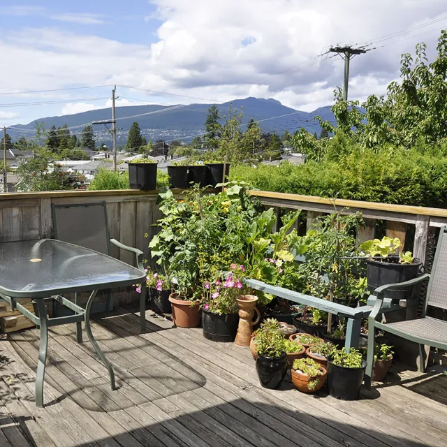Central Lonsdale - Unfurnished, Pet Friendly, 4 Bed 1.5 Bath House For Rent at 412 East 17th, North Vancouver Central Lonsdale - Unfurnished, Pet Friendly, 4 Bed 1.5 Bath House For Rent at 412 East 17th, North Vancouver