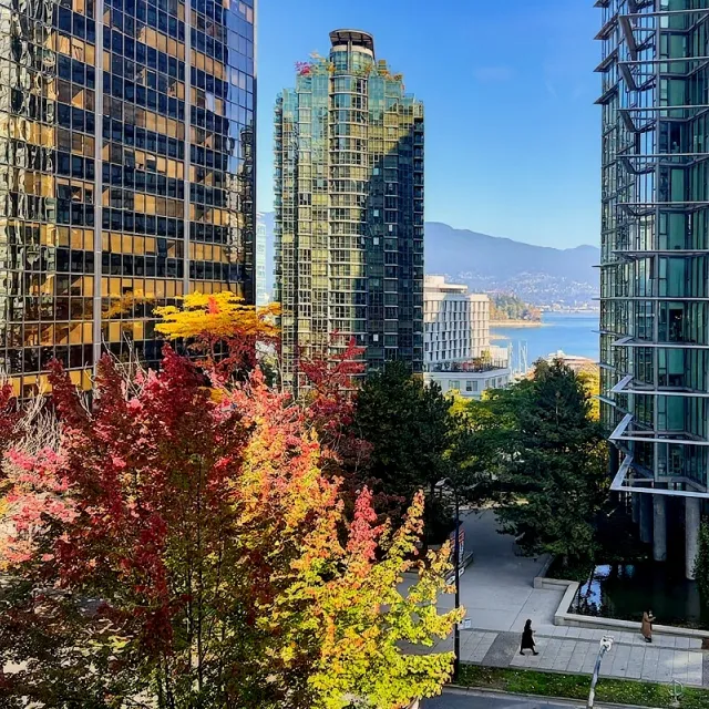 Lions in Downtown - 1 Bedroom Apartment For Rent in Vancouver 405 - 1331 Alberni Street, Vancouver, BC, V6E 4S1