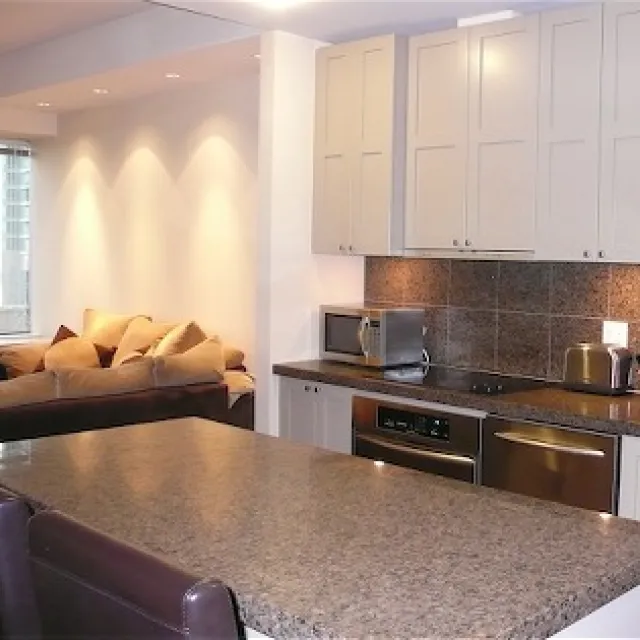 Qube in Coal Harbour - 1 Bedroom Apartment For Rent in Vancouver 707 - 1333 West Georgia Street, Vancouver, BC