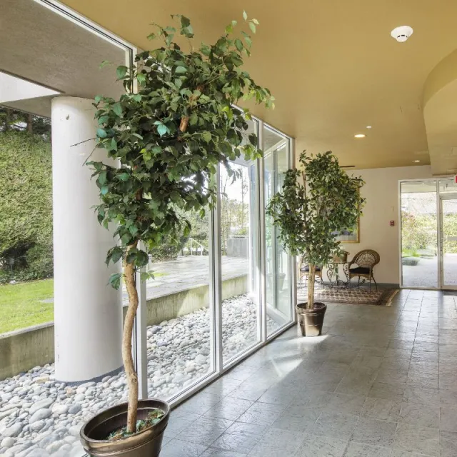 Ashleigh Court in Kerrisdale - 2 Bedroom Apartment For Rent in Vancouver 802 - 2121 West 38th Avenue, Vancouver, BC