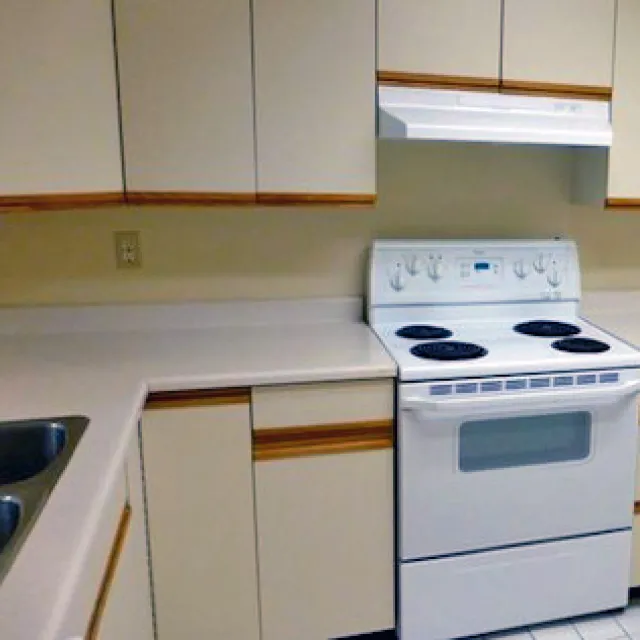 La Mirage in Metrotown - 1 Bedroom Apartment For Rent in Burnaby 201 - 6055 Nelson Avenue, Burnaby, BC